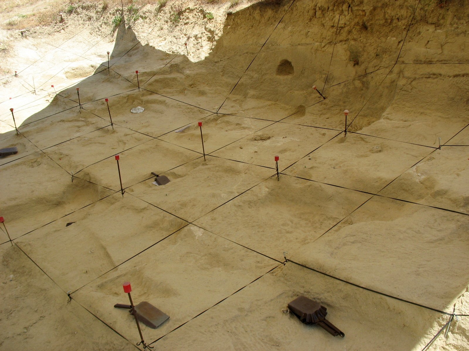 How Fossils Are Found and Studied (image credits: wikimedia)