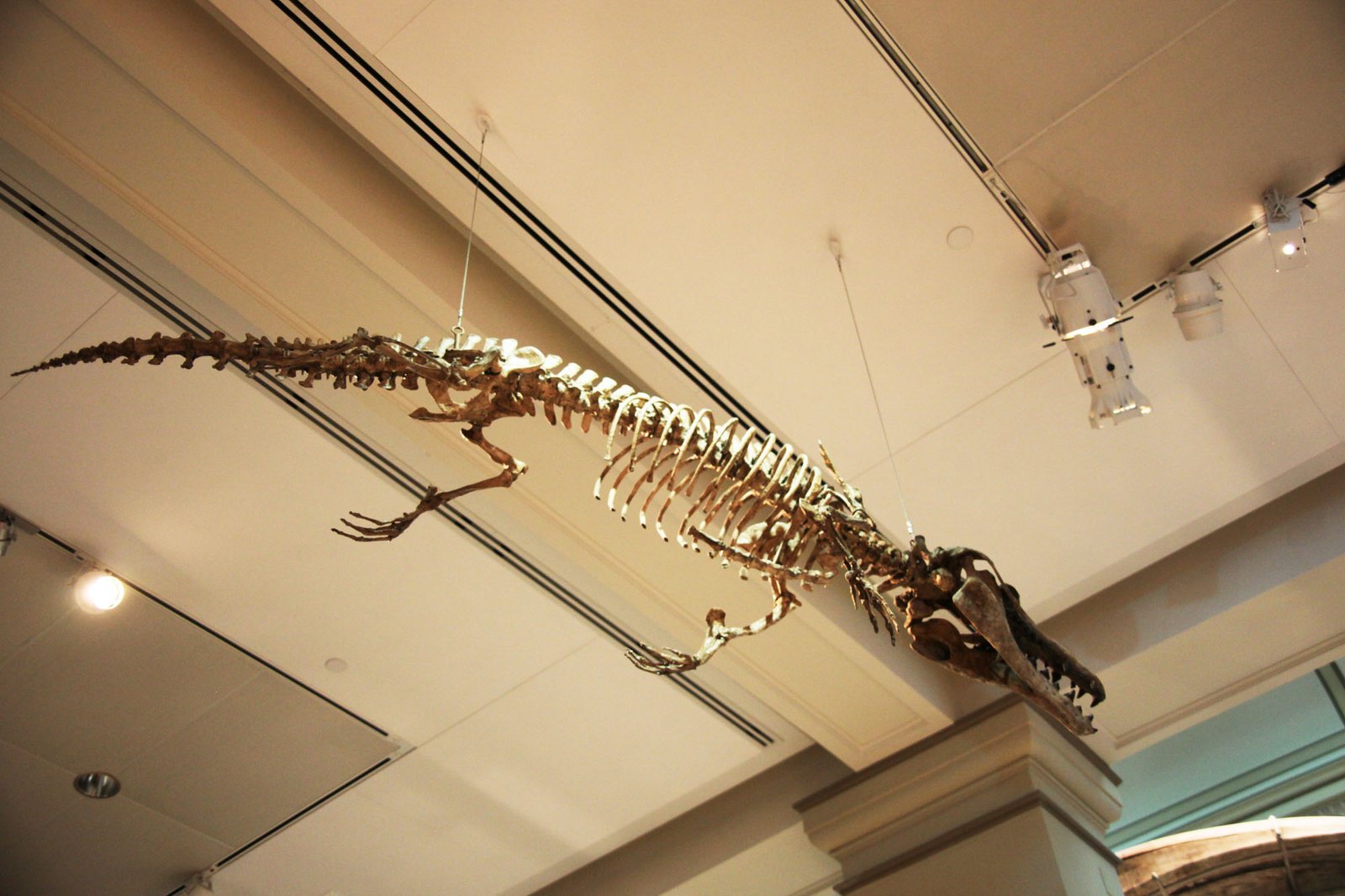 Climate Change and the Rise and Fall of the Inland Sea (image credits: wikimedia)