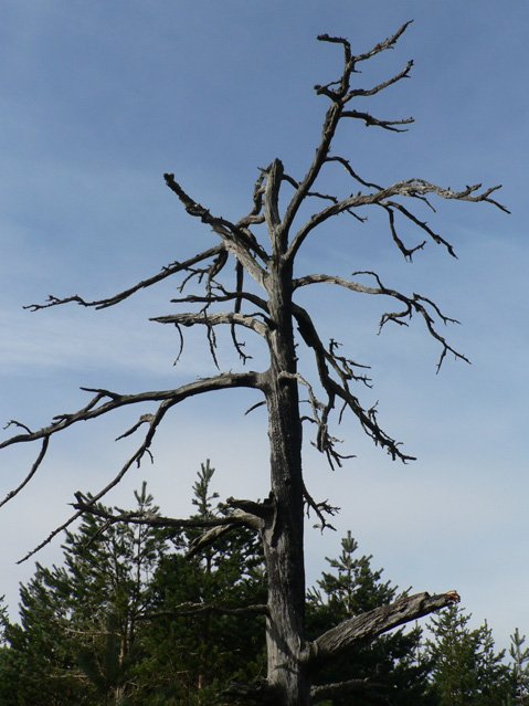 Visible Scars, Hidden Changes: The Dual Impact of Strikes (image credits: wikimedia)
