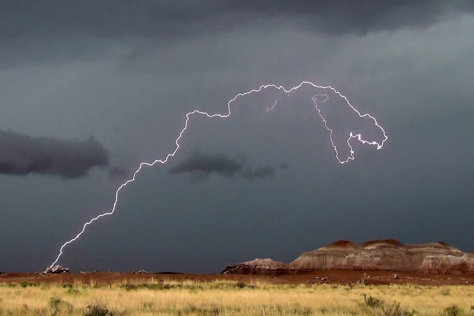 Climate Change: More Storms, More Genetic Change? (image credits: wikimedia)