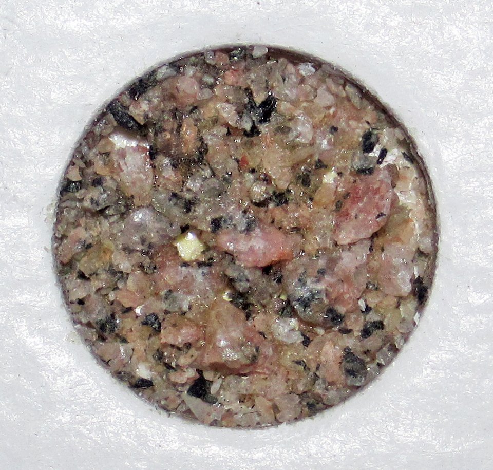 Microbial Marvels: Life at the Smallest Scale (image credits: wikimedia)