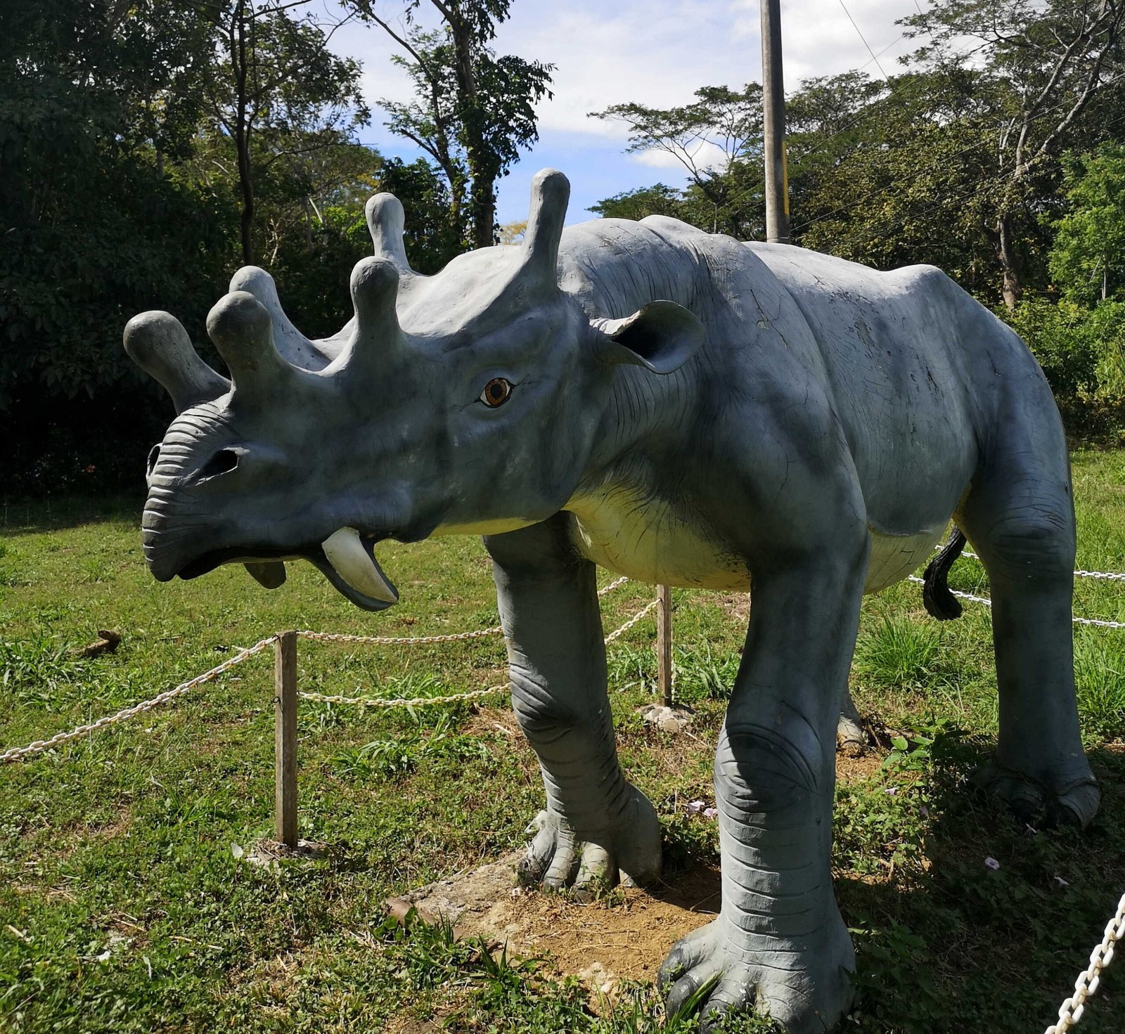 Lessons From Extinction: Why Megafauna Matter Today (image credits: wikimedia)