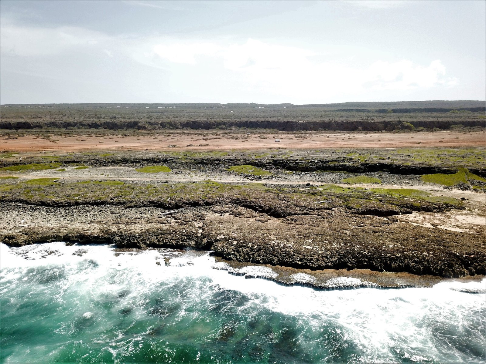 The Natural Barrier: How Reefs Break the Waves (image credits: wikimedia)