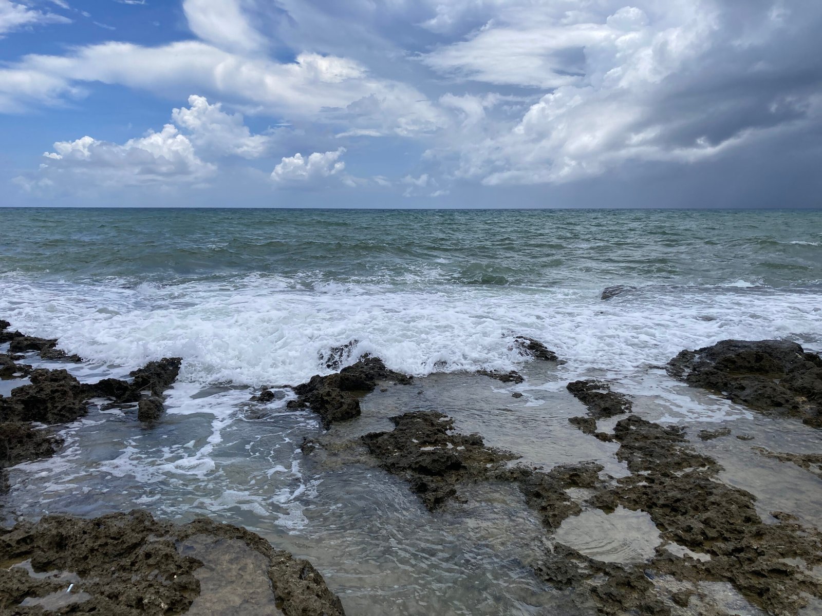 How Coral Reefs Form Natural “Speed Bumps” (image credits: wikimedia)