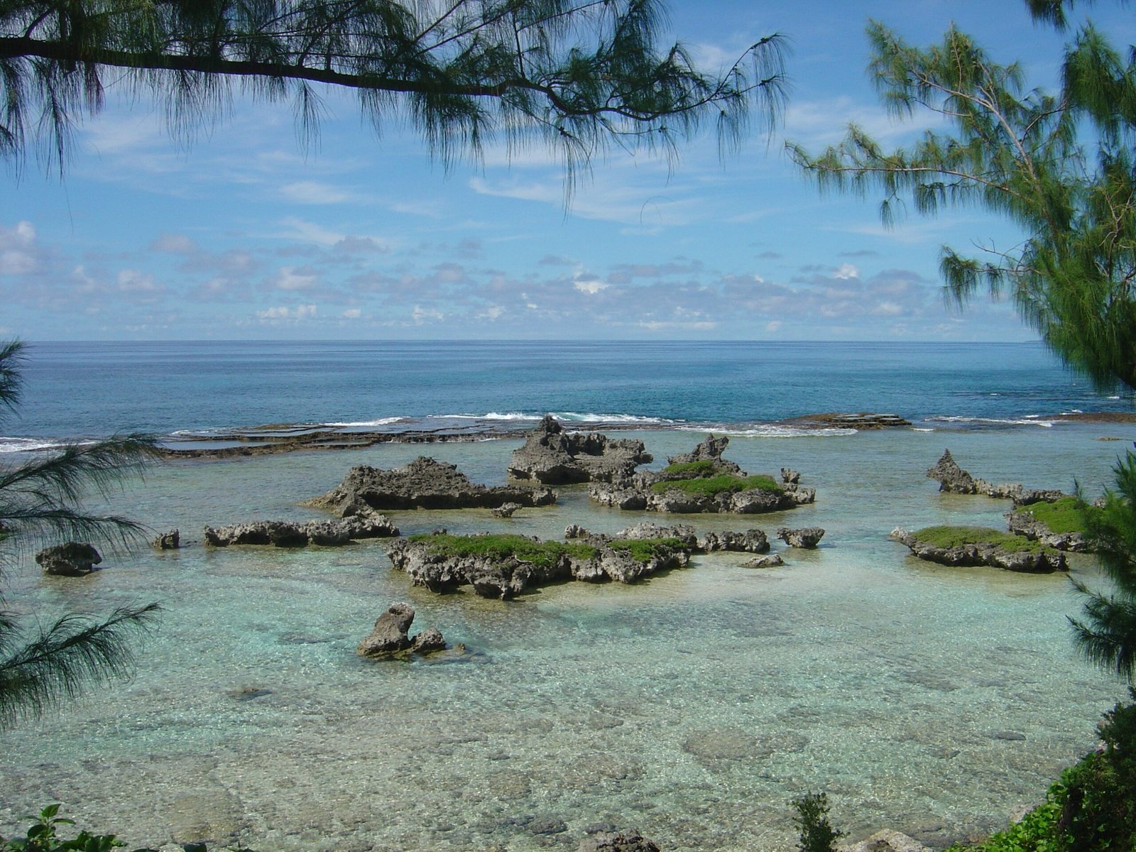 The Global Reach of Reef Protection (image credits: wikimedia)