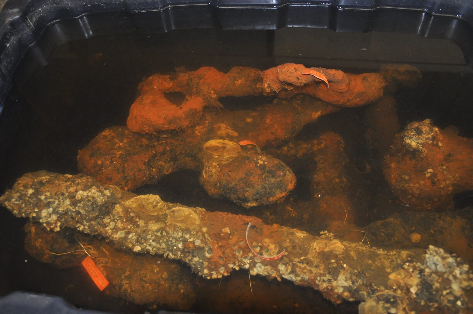 Artifacts and Evidence: What Was Found? (image credits: wikimedia)