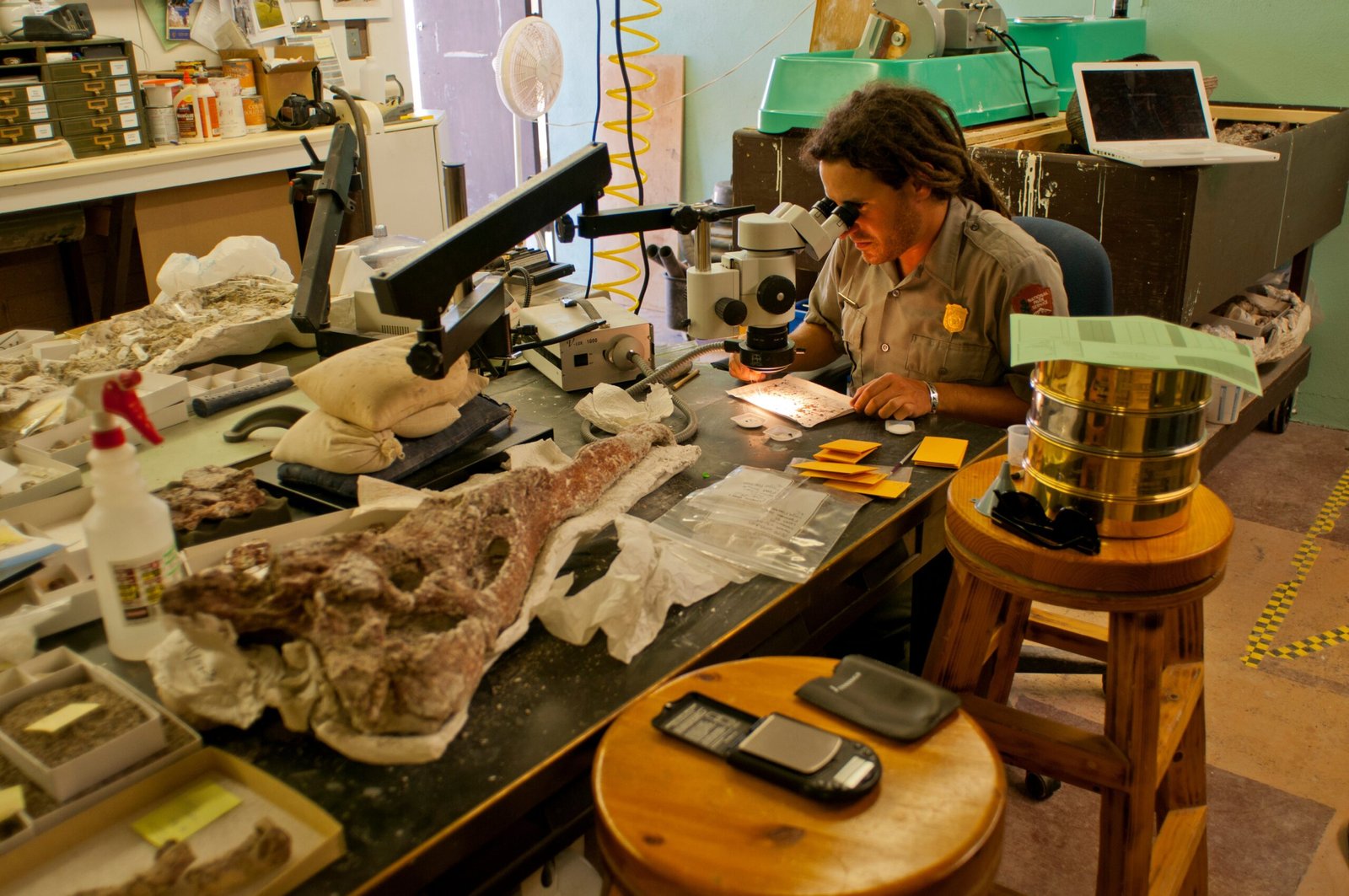 Modern Technology Meets Ancient Bones (image credits: wikimedia)
