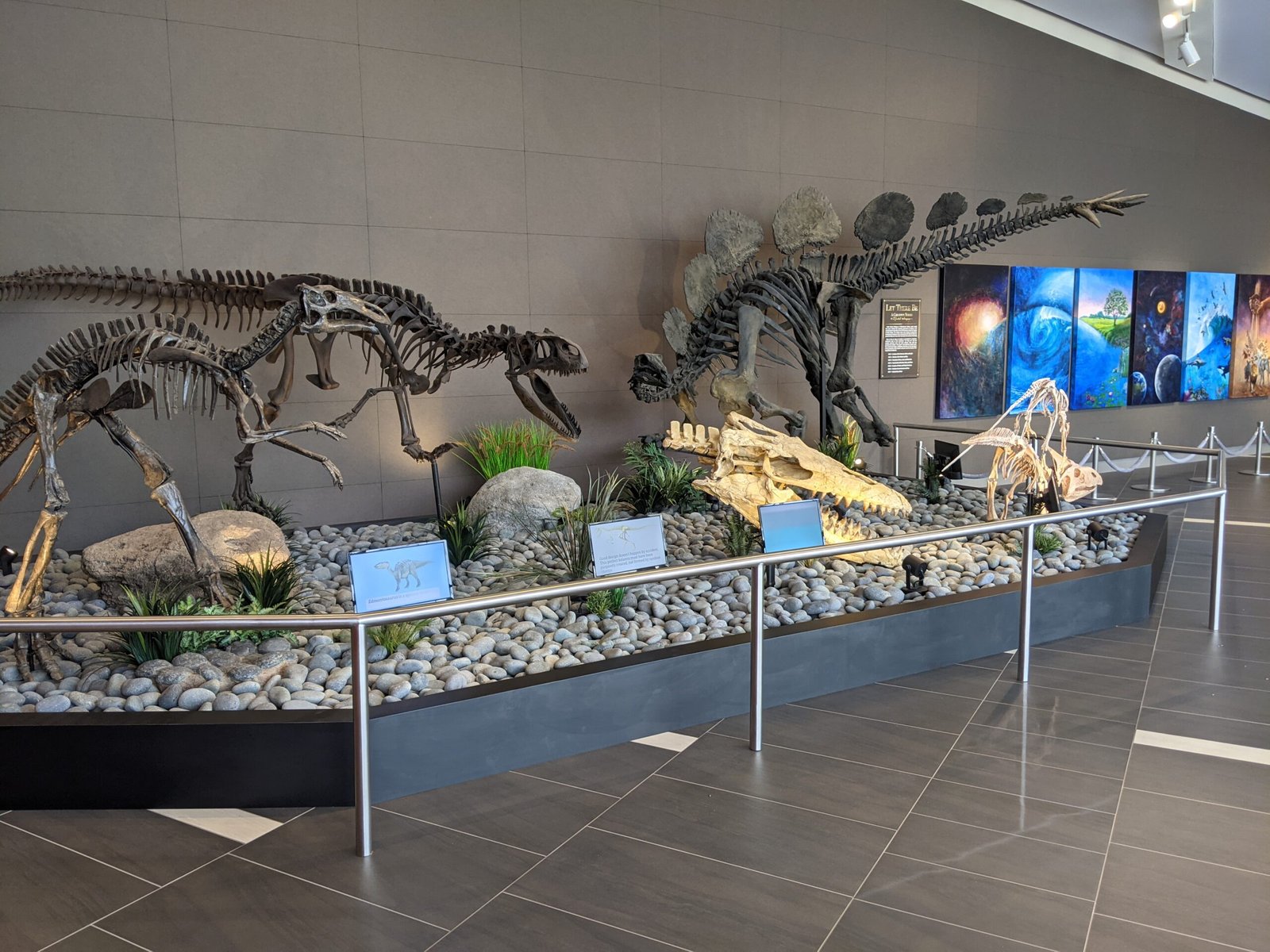 What Will the Next Fossil Reveal? (image credits: wikimedia)