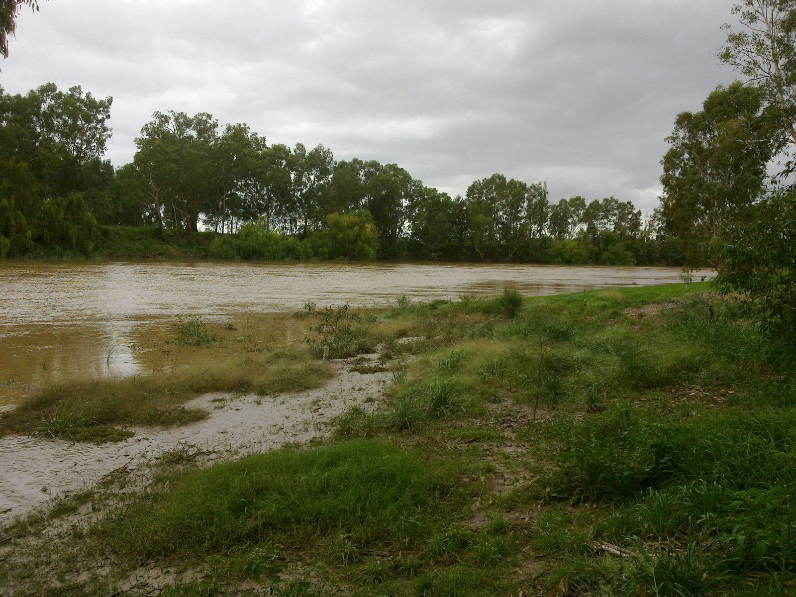 The Pulse of an Expanding Lake (image credits: wikimedia)