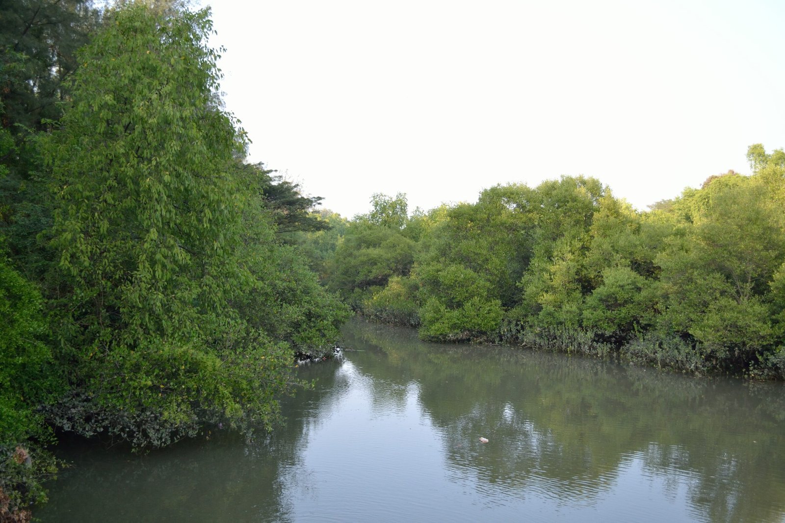 Water Towers of Southern India (image credits: wikimedia)