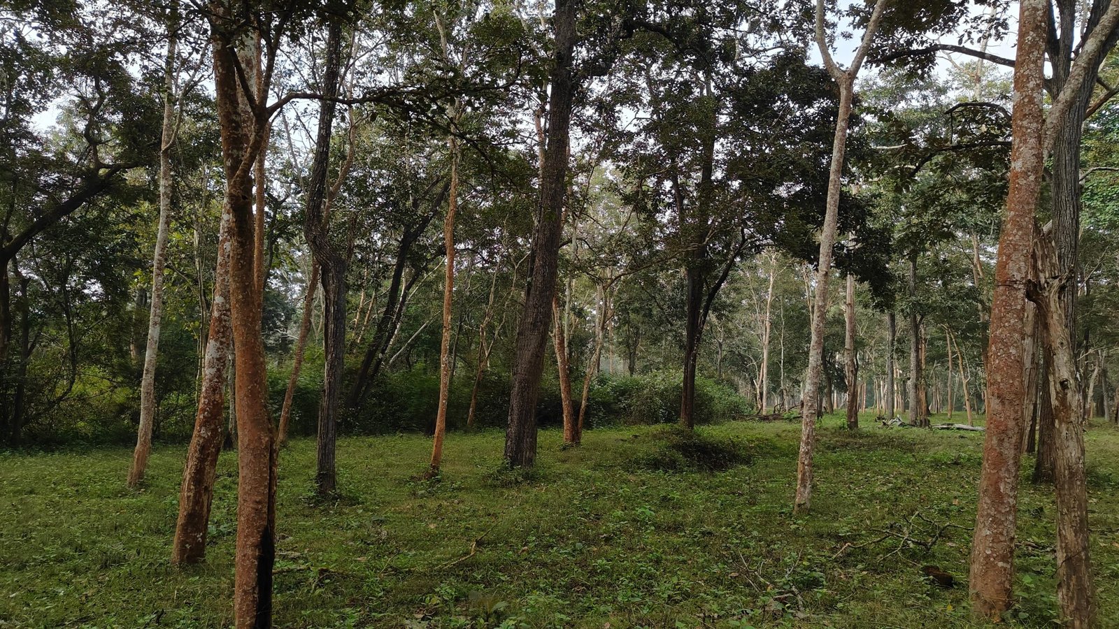 What’s at Stake for the World (image credits: wikimedia)