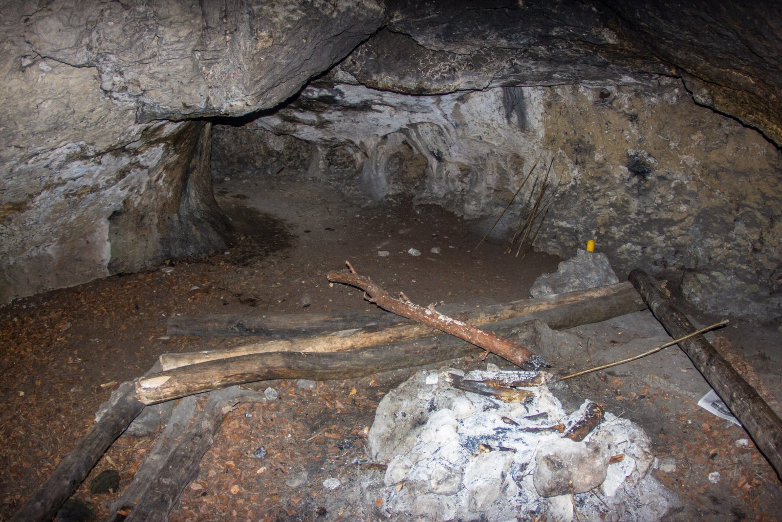 Conservation Efforts: Protecting Fragile Treasures (image credits: wikimedia)