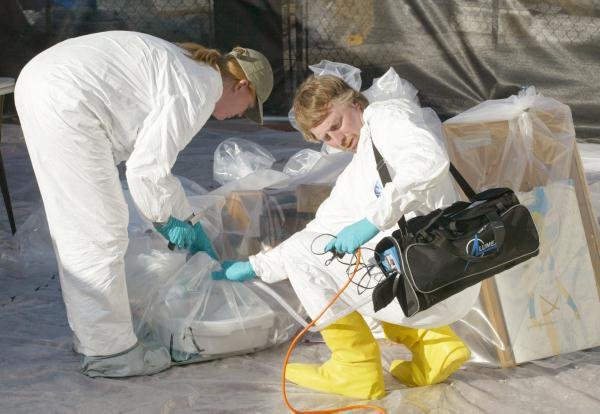 Hidden Dangers: Mercury and Public Health (image credits: wikimedia)