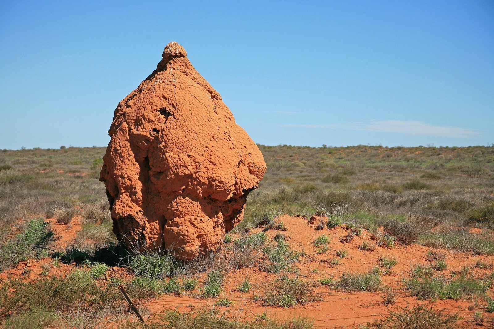 Creating Oases in Harsh Landscapes (image credits: wikimedia)