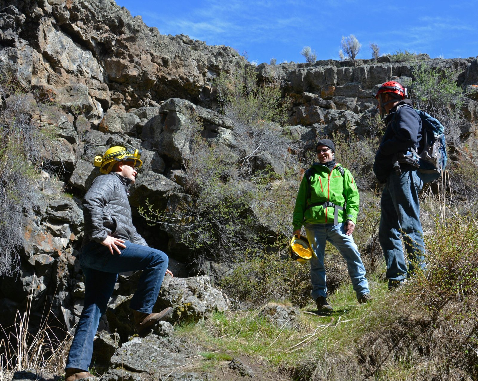 The Forgotten Forest Awakens Curiosity (image credits: wikimedia)