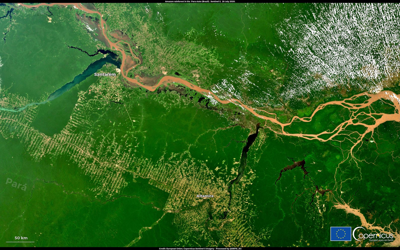 The Delicate Balance: Feedback Loops and Tipping Points (image credits: wikimedia)