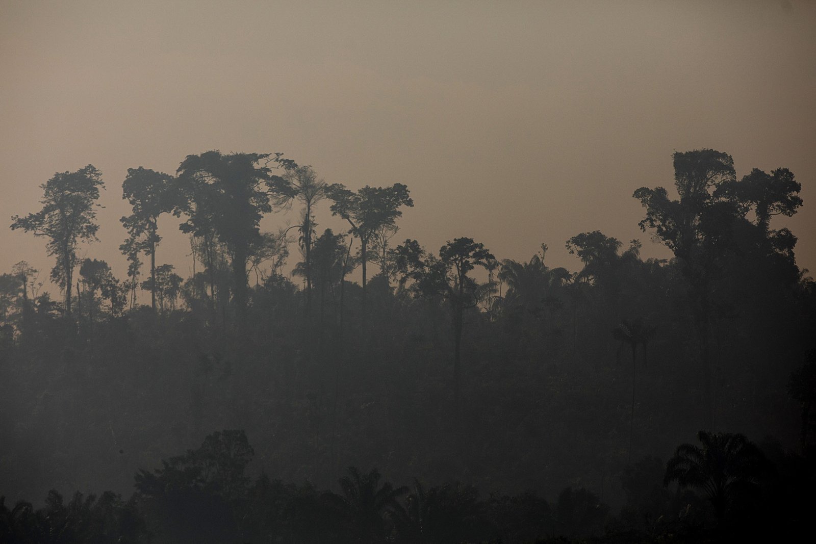 Human Health: Breathing Easier or Harder? (image credits: wikimedia)