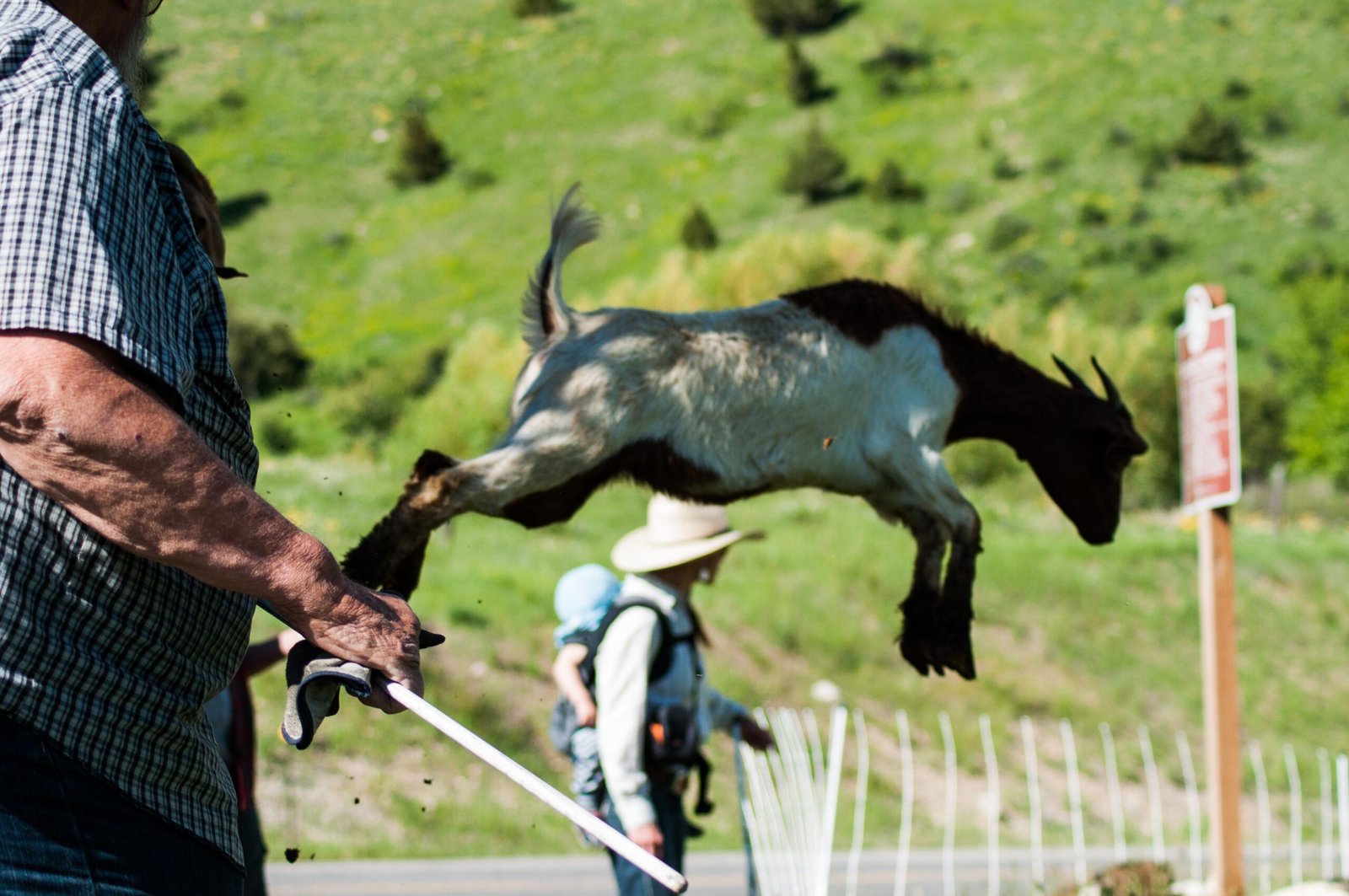 The Future of Wildlife Conservation (image credits: wikimedia)