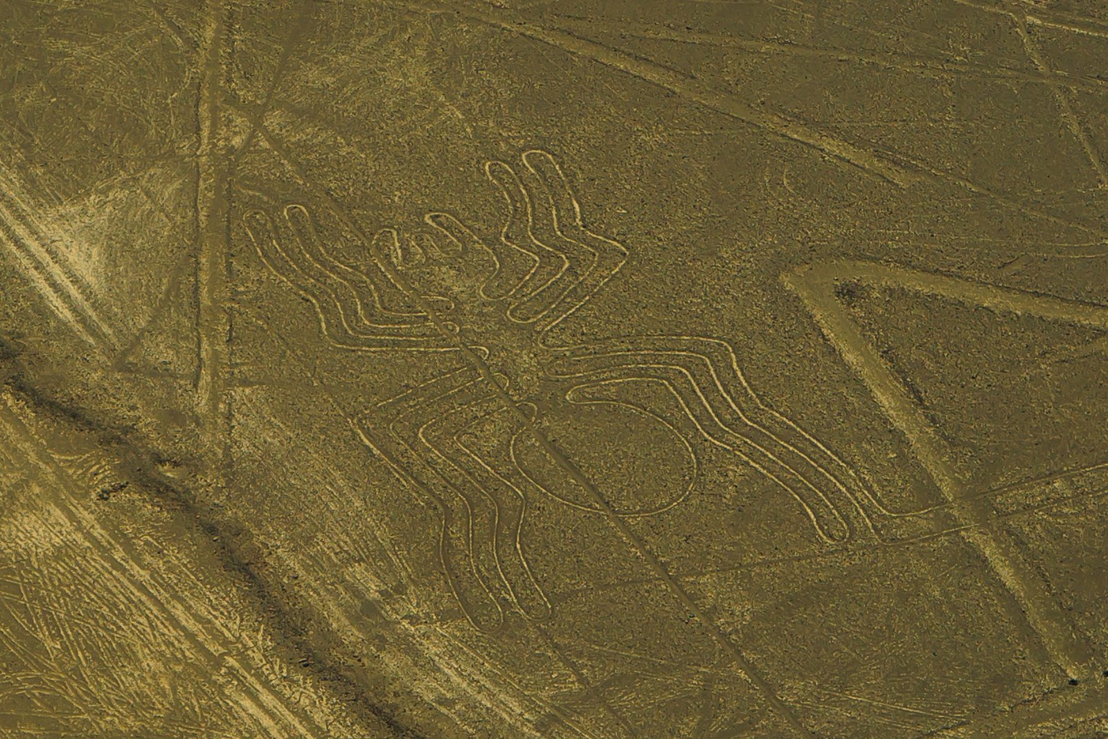 The Nazca Lines in the Eyes of the World (image credits: wikimedia)