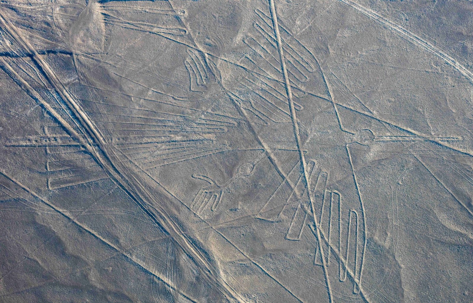 Visiting the Nazca Lines: A Journey to Wonder (image credits: wikimedia)