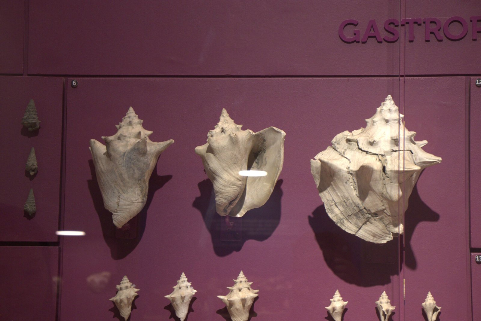 Personal Stories: Living Near the Past (image credits: wikimedia)