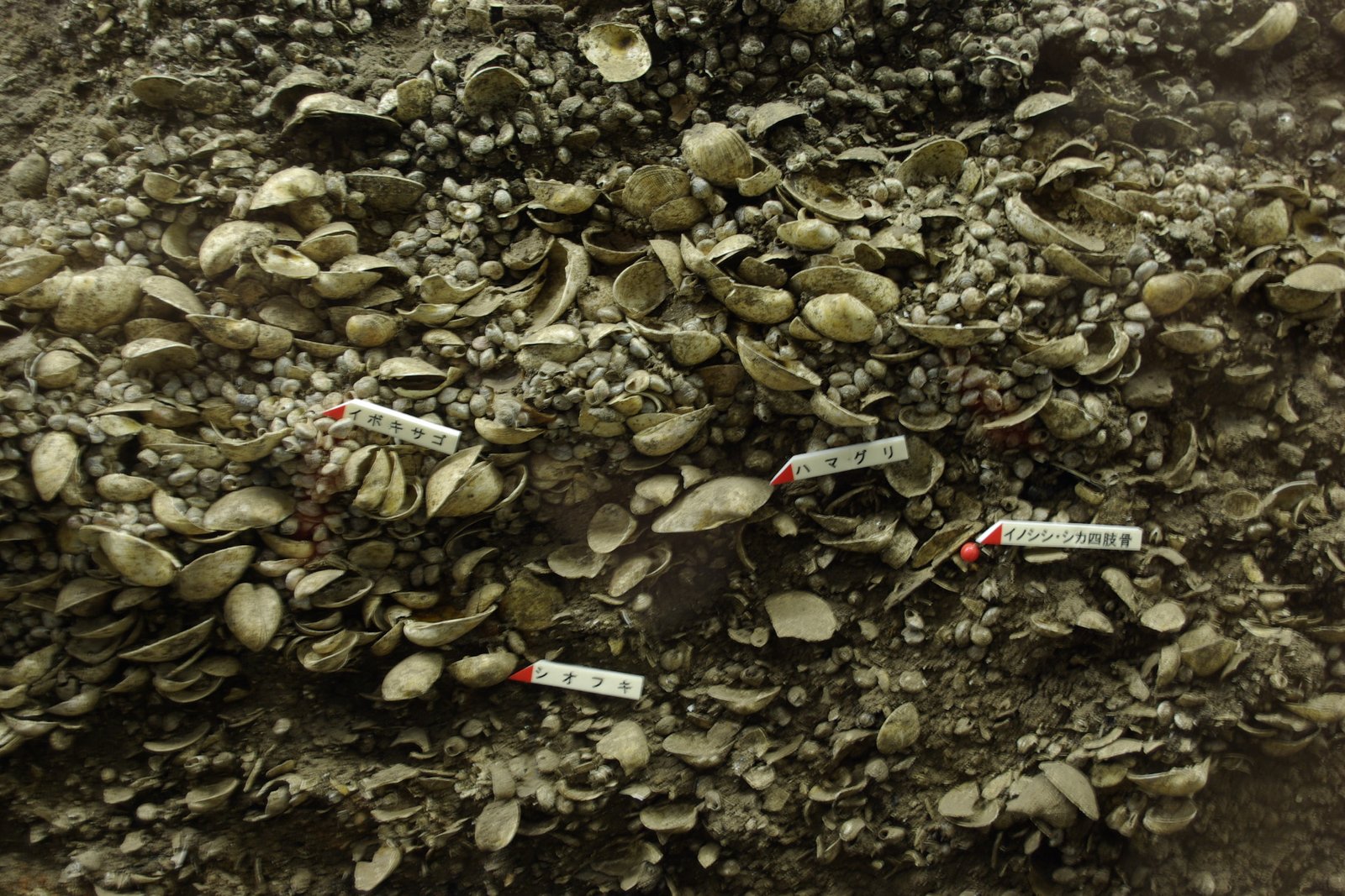 Lessons for the Future (image credits: wikimedia)