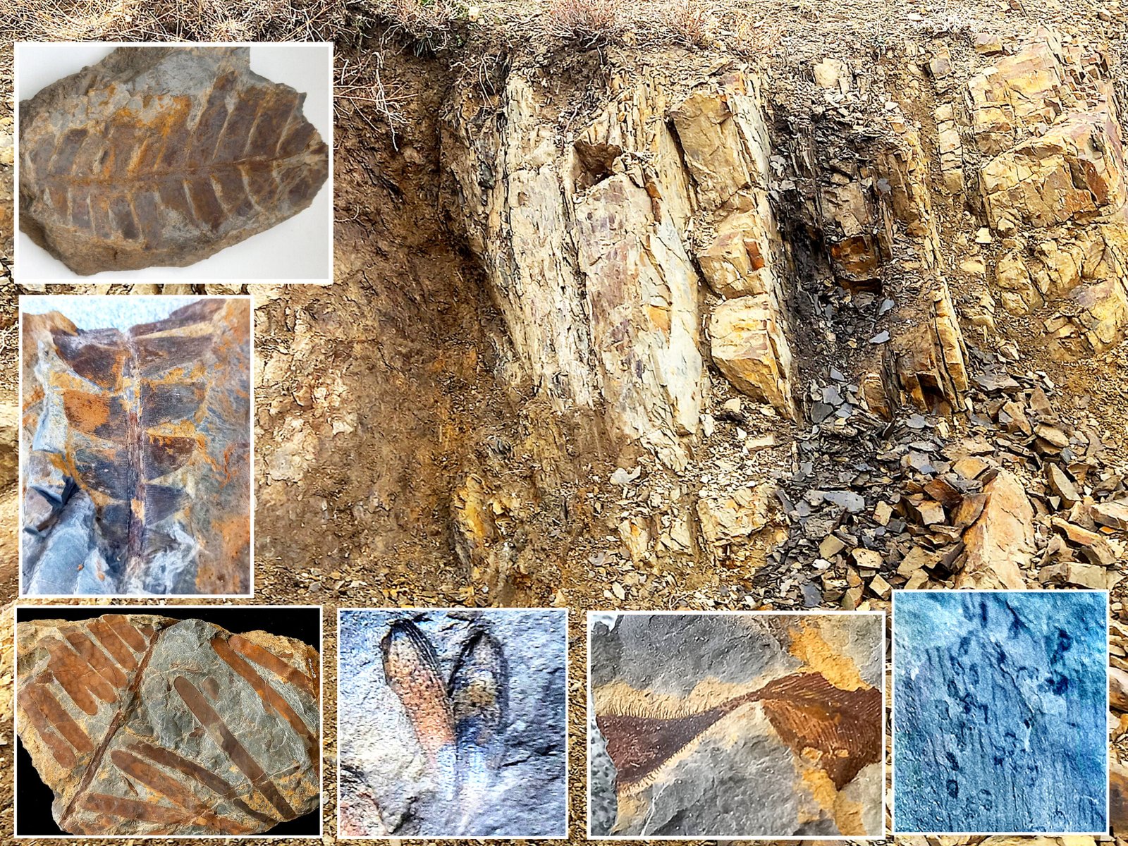 Discovery of Tehran’s Fossil Beds (image credits: wikimedia)