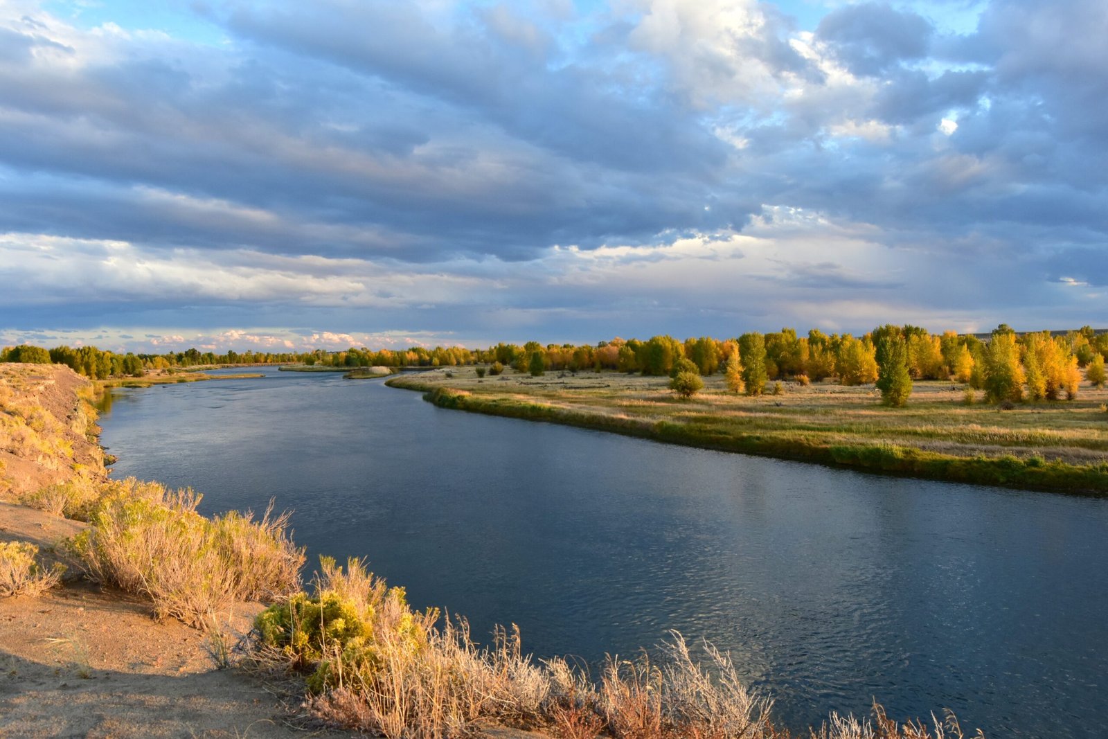 An Engine for Biodiversity (image credits: wikimedia)