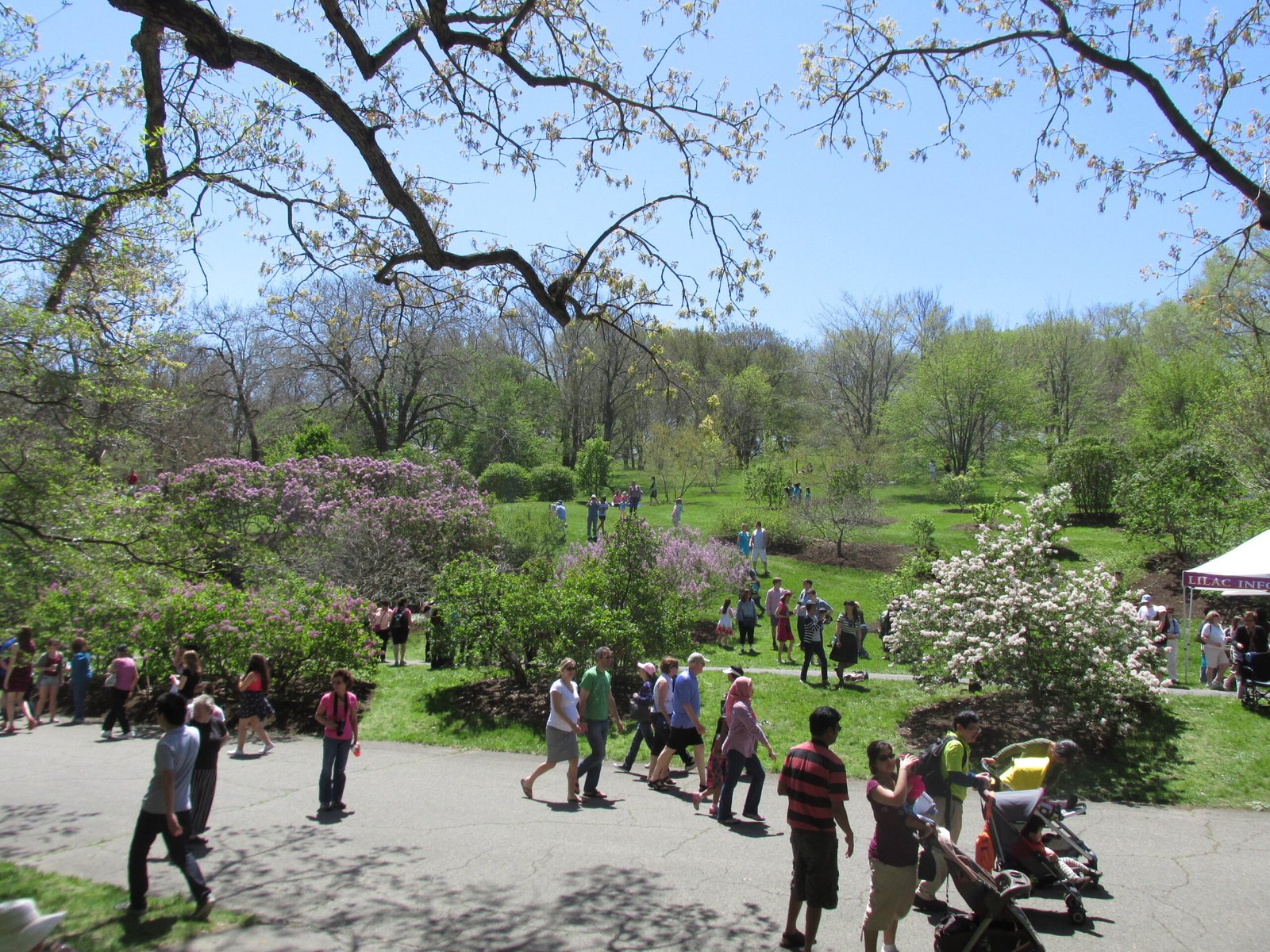 Glacial Features in Today’s Parks and Gardens (image credits: wikimedia)