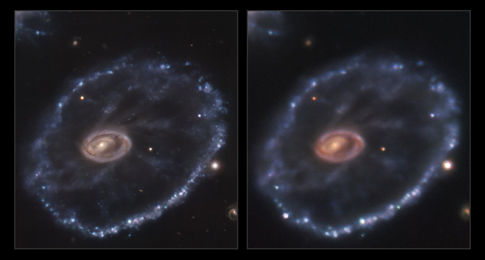 Stardust and the Search for Life (image credits: wikimedia)