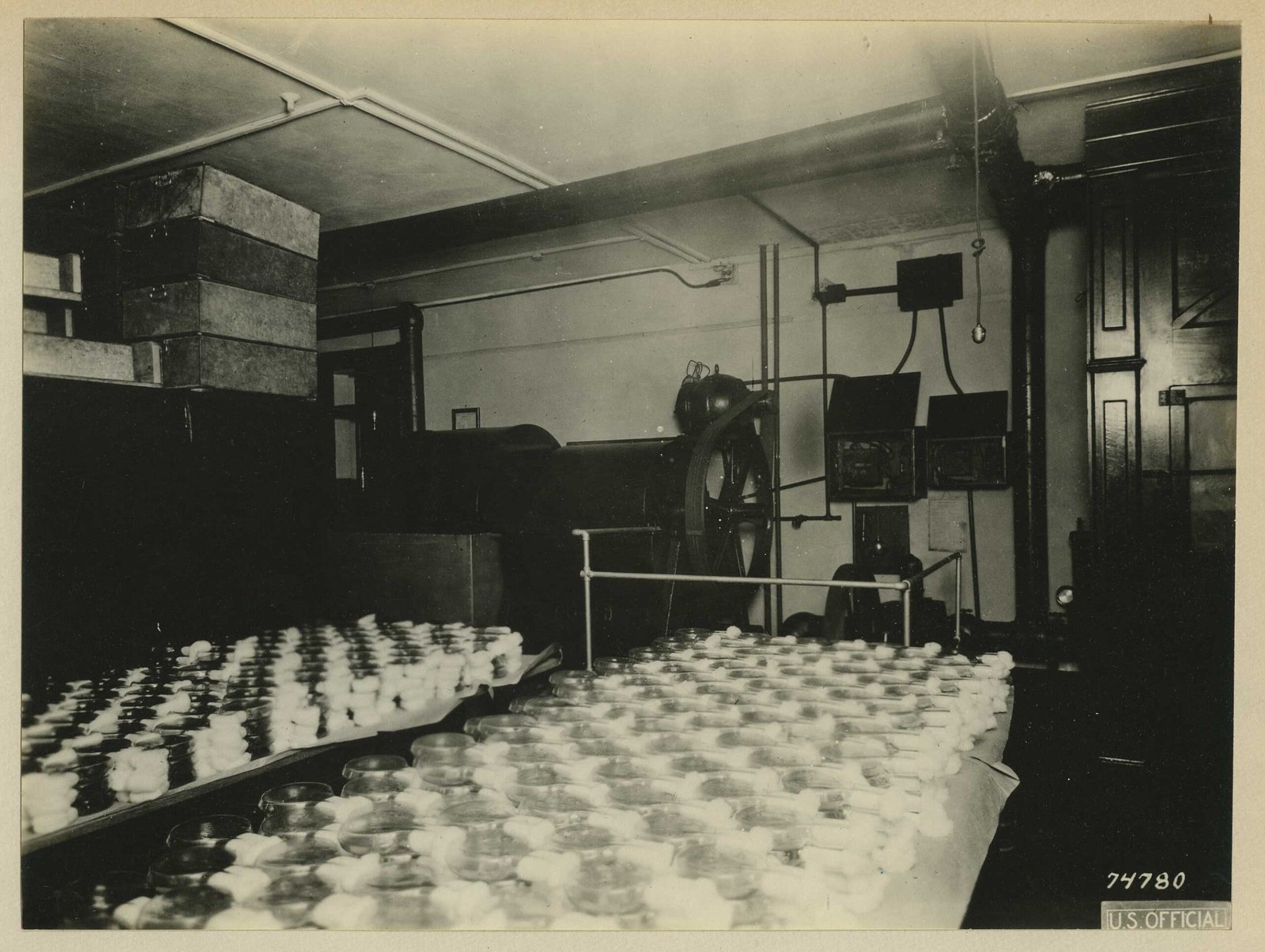 The Future: Next-Gen Vaccines and Smart Cold Chains (image credits: wikimedia)