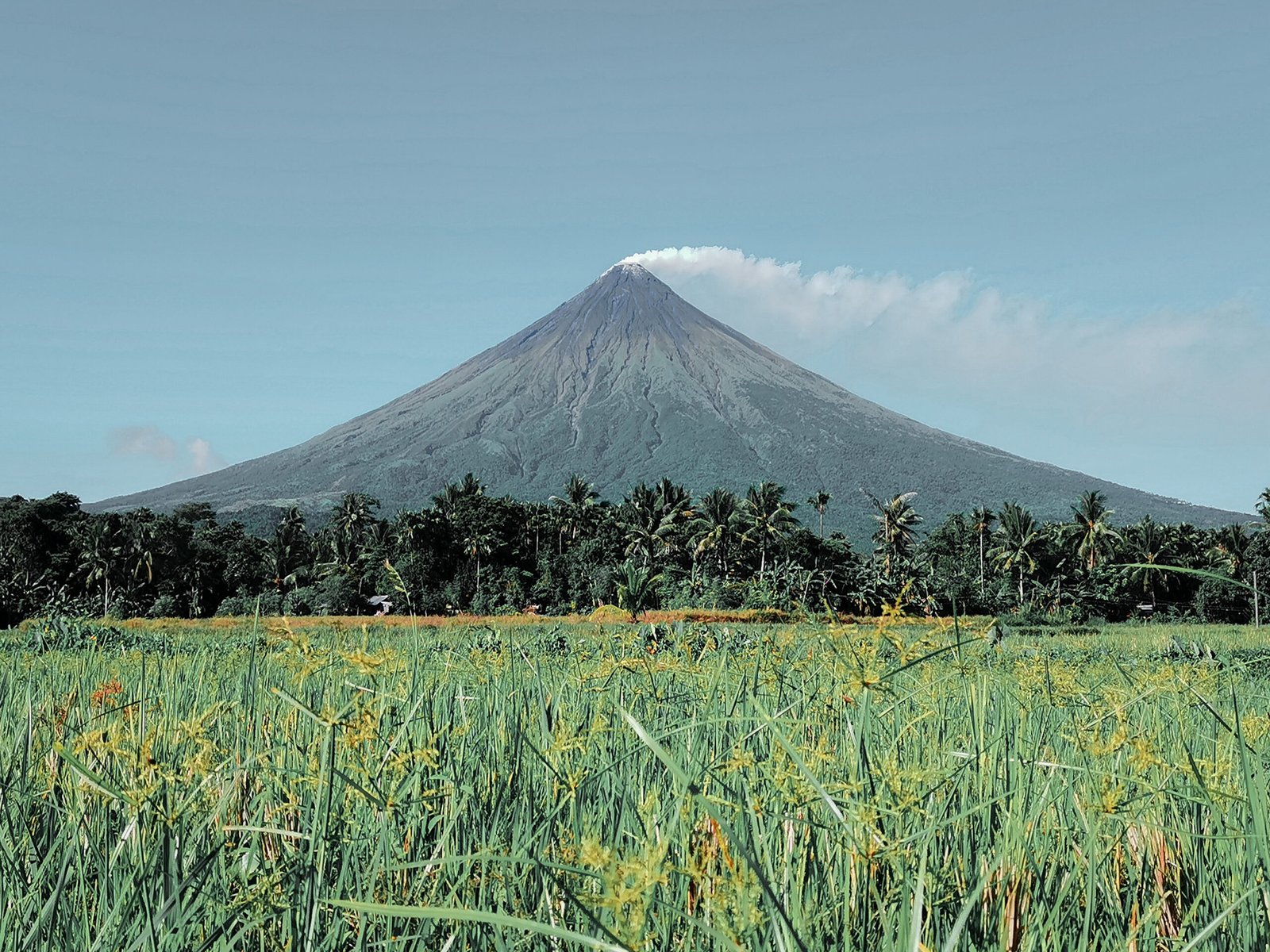 Mayon: The Perfect Cone (image credits: wikimedia)
