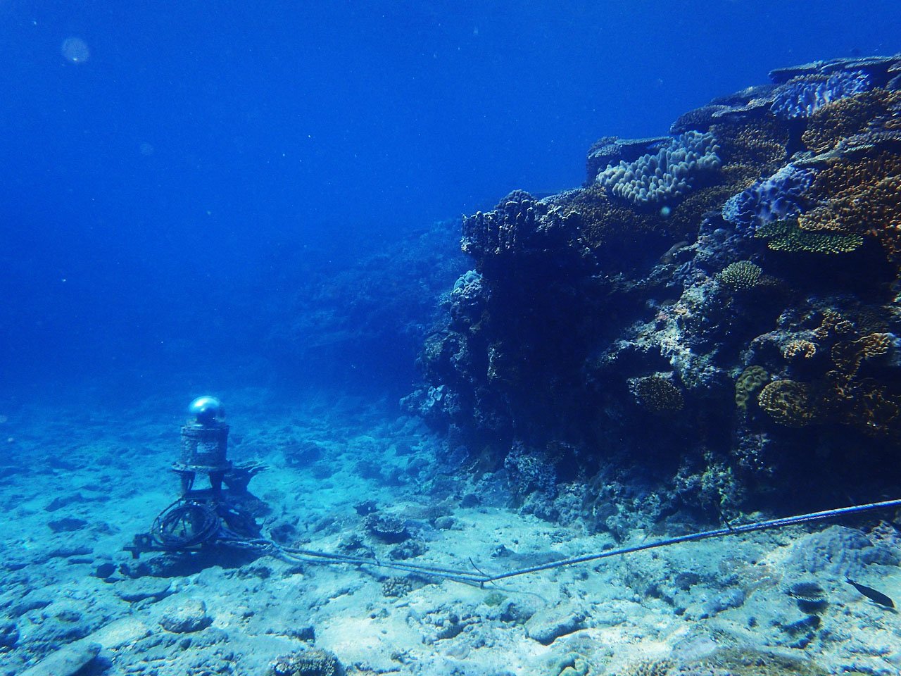 Innovative Technology: From AI to Hydrophones (image credits: wikimedia)