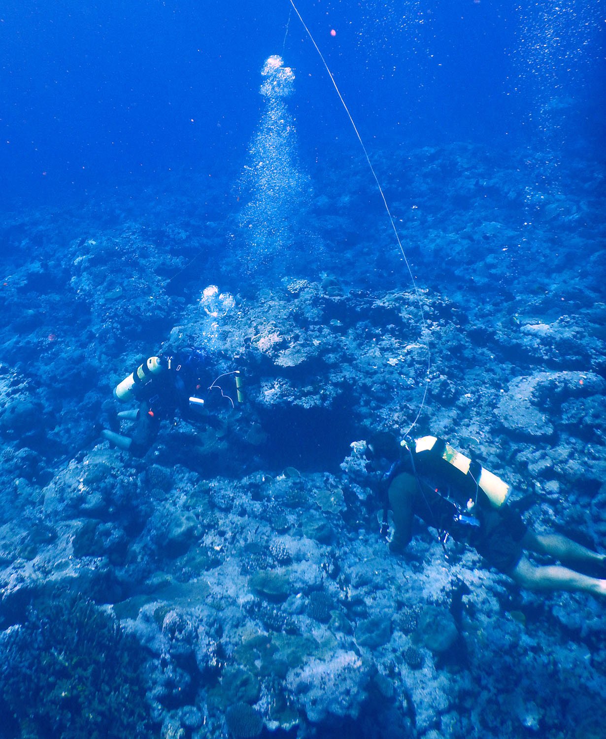 Engaging the Public: Citizen Science and Sound (image credits: wikimedia)