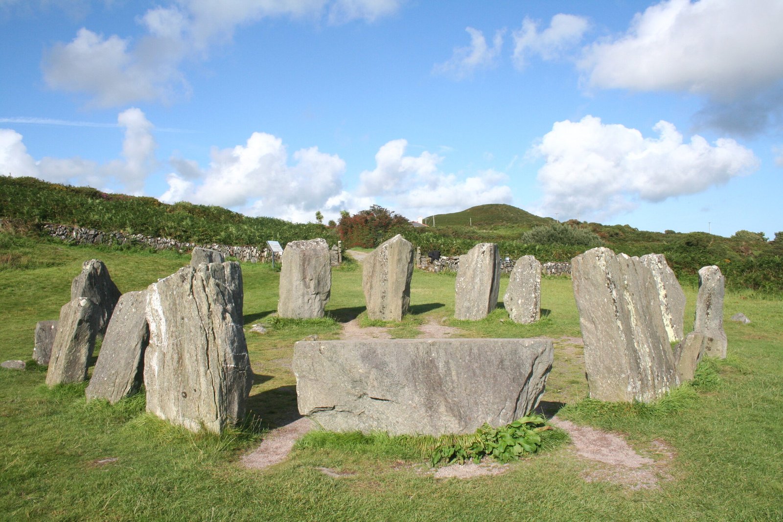 What Was Their Purpose? (image credits: wikimedia)