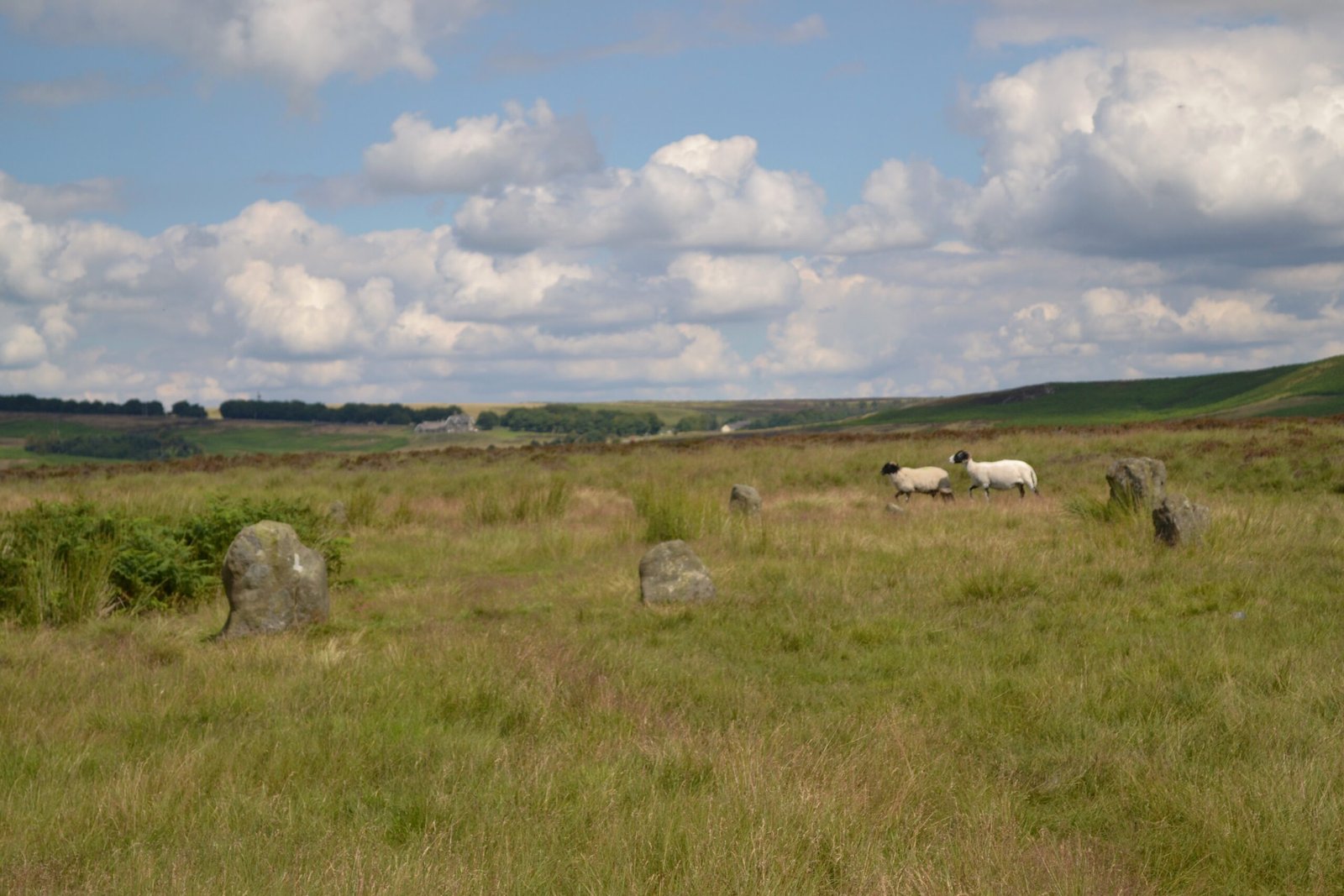 The Power of Place: Ritual and Memory (image credits: wikimedia)