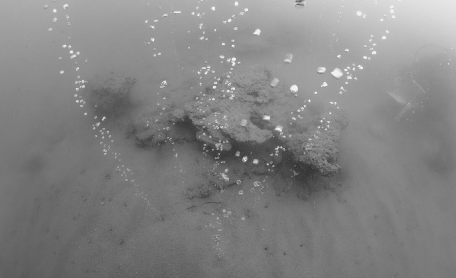 Unexpected Consequences: The Methane Feedback Loop (image credits: wikimedia)