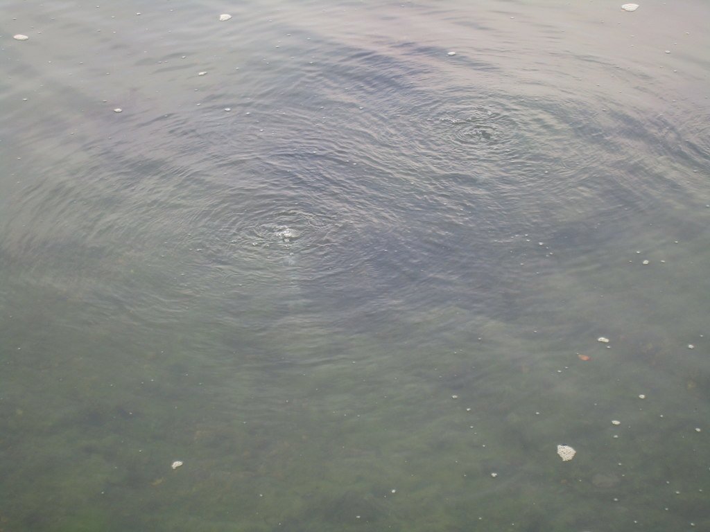 A Call to Curiosity and Action (image credits: wikimedia)