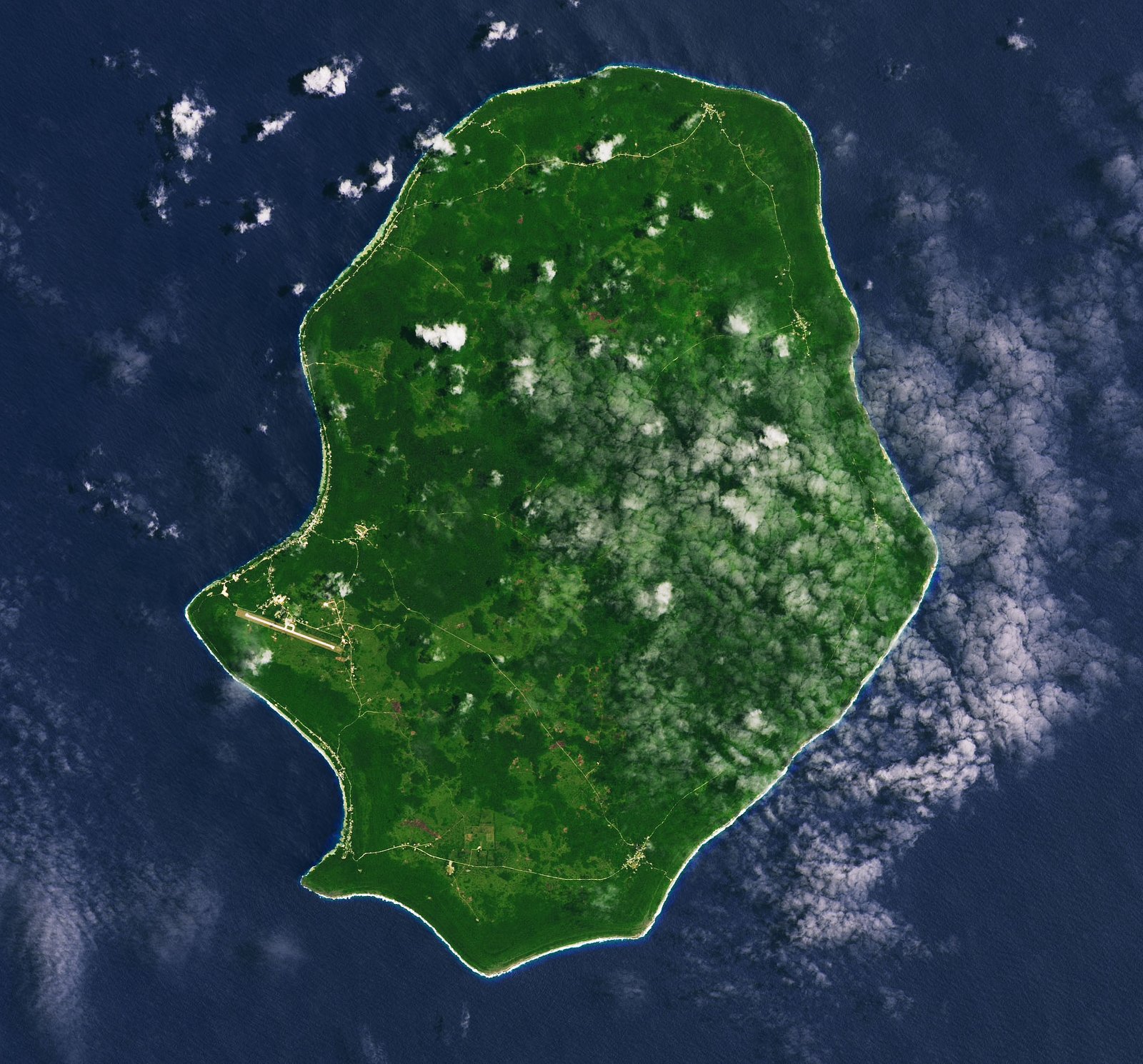 Wildlife in Peril: Stranded in Small Patches (image credits: wikimedia)