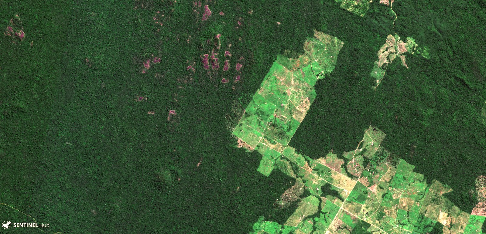 Agro-Expansion: Farms at the Forest’s Edge (image credits: wikimedia)