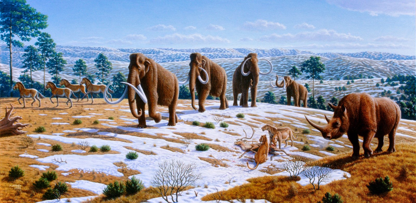 The Ice Age Climate Shift (image credits: wikimedia)