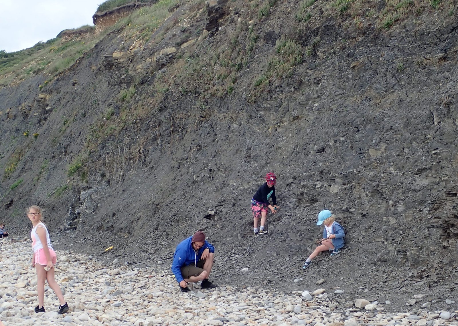 The Role of Citizen Scientists (image credits: wikimedia)