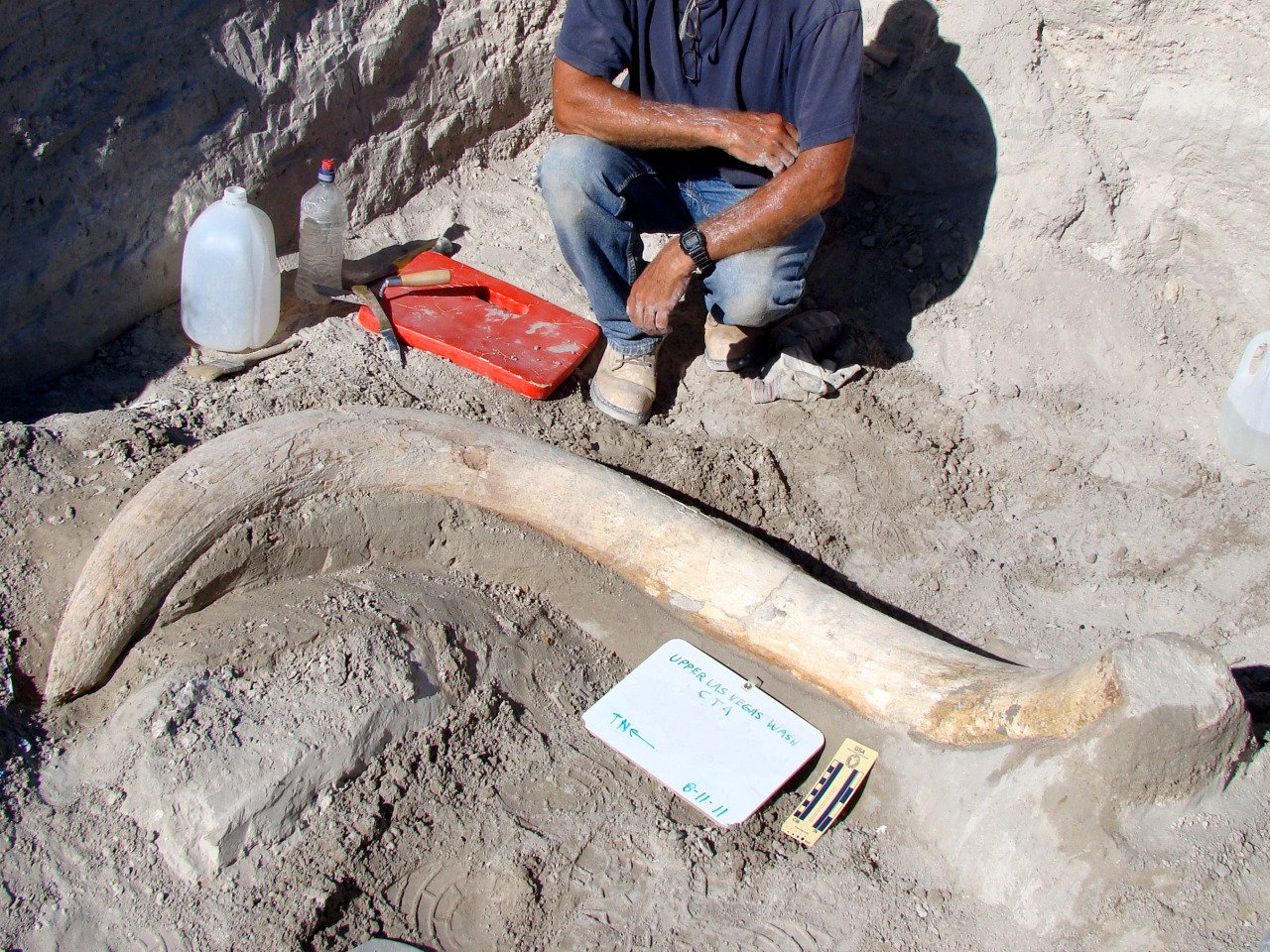 Educational Impact on the Community (image credits: wikimedia)