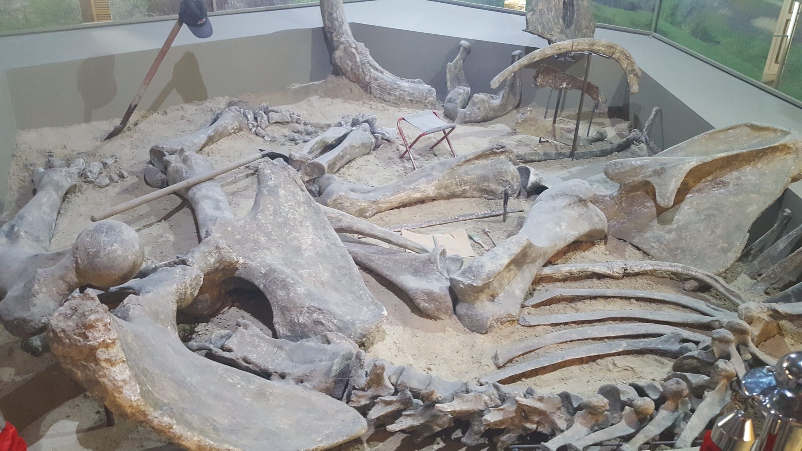 The Allure of Ice Age Mysteries (image credits: wikimedia)