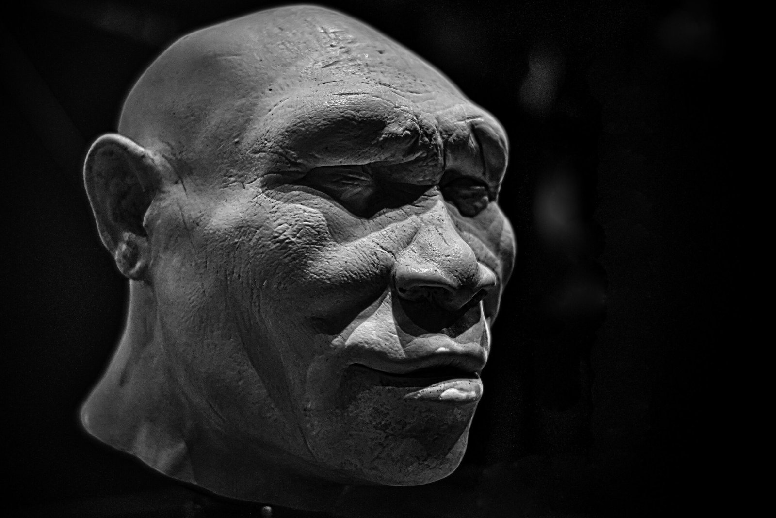 The Art of Fire: Did Homo erectus Master It? (image credits: wikimedia)