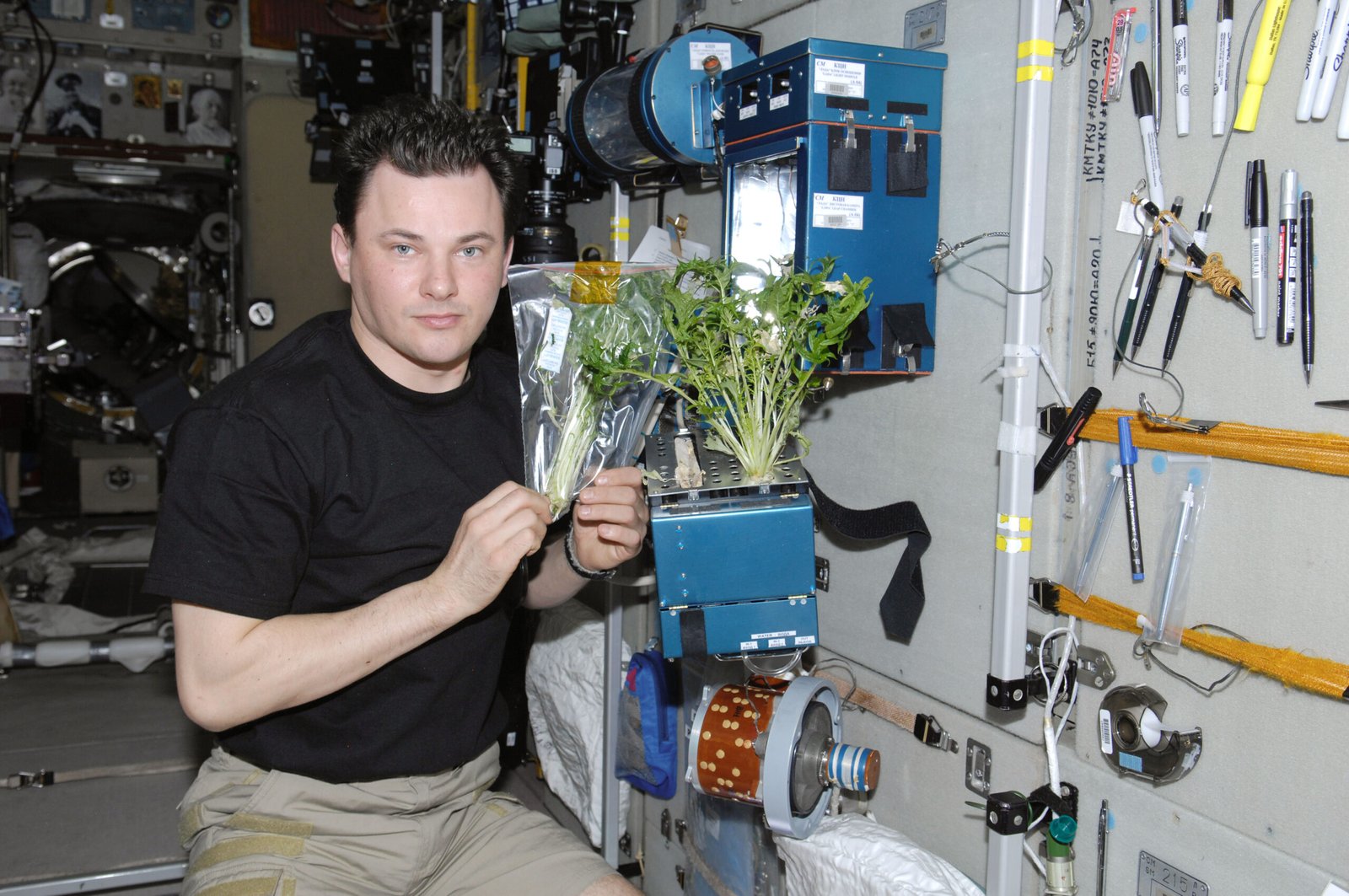 The First Seeds in Space: A Bold Experiment (image credits: wikimedia)