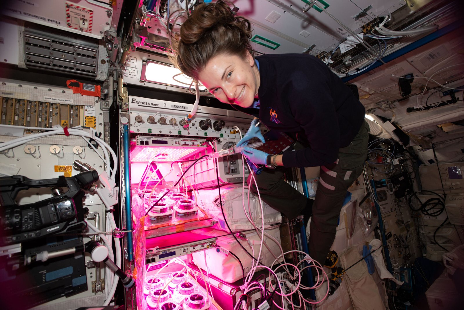 Nutrition in Orbit: Keeping Astronauts Healthy (image credits: wikimedia)