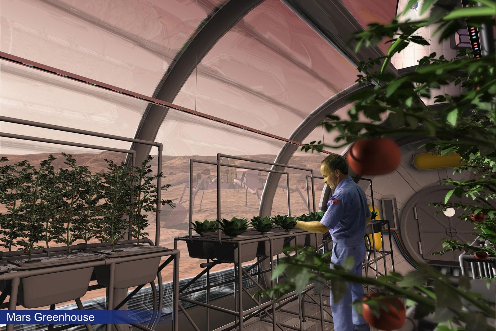 Martian Greenhouses: Building the First Farms on the Red Planet (image credits: wikimedia)