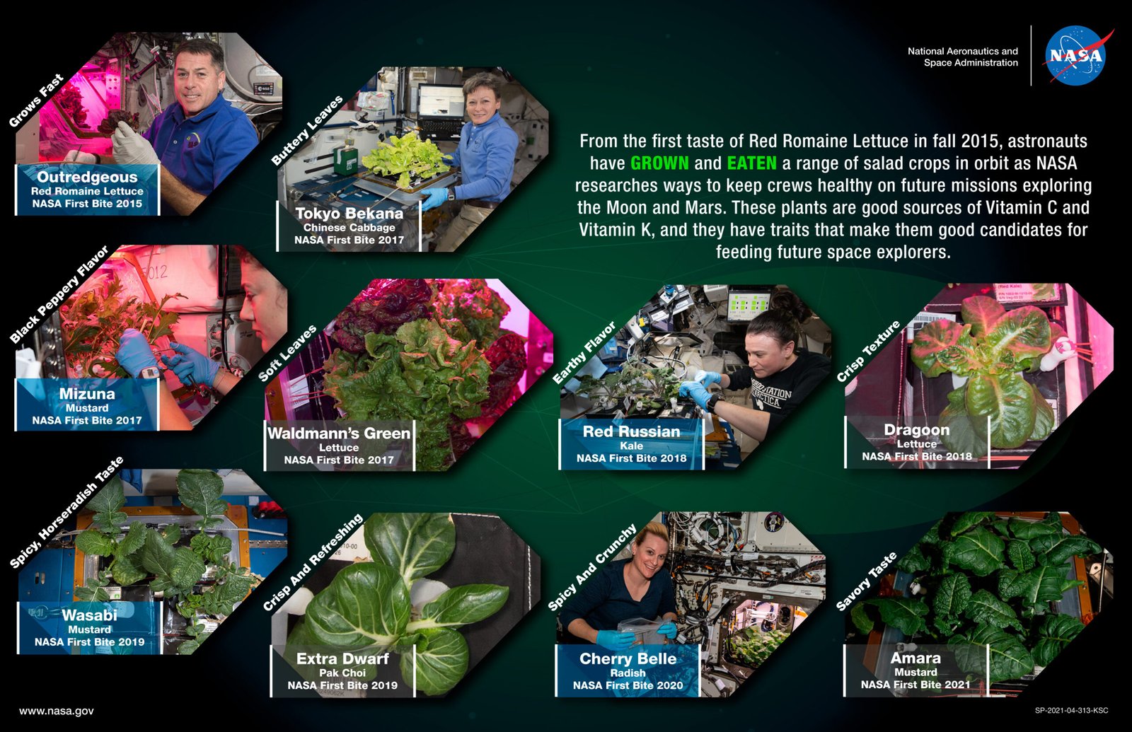 Harvesting Hope: The Emotional Impact of Space-Grown Food (image credits: wikimedia)