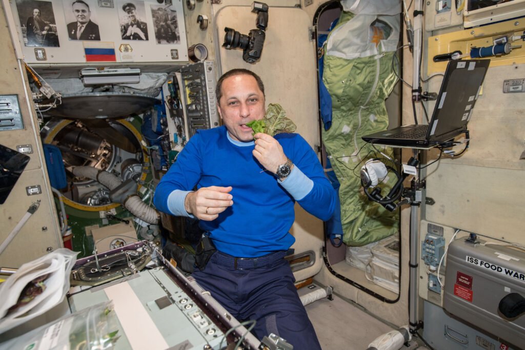 Space Farming: What Growing Lettuce in Orbit Teaches Us About Surviving on Mars